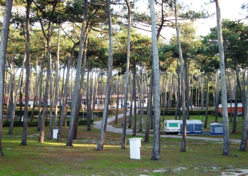 Parque De Campismo Orbitur Sao Pedro De Moel 호텔 외부 사진