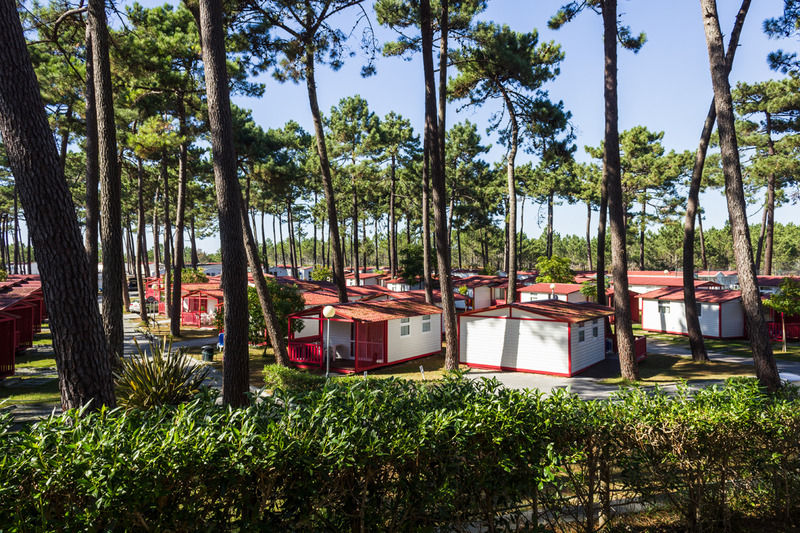 Parque De Campismo Orbitur Sao Pedro De Moel 호텔 외부 사진